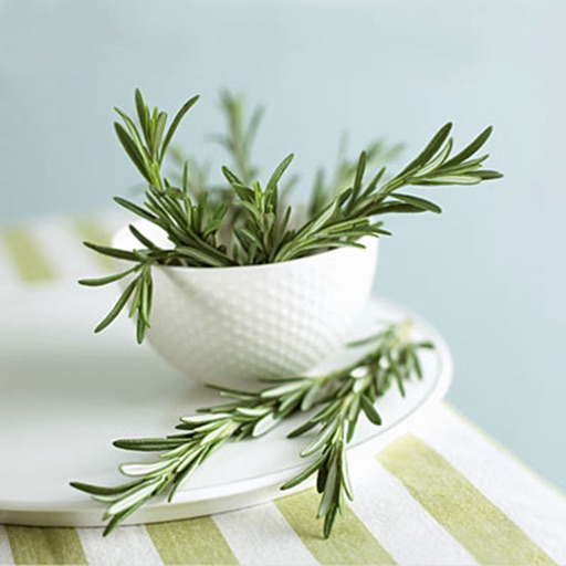 Rosemary Beginner's Guide: Herbs, Grow and Use icon