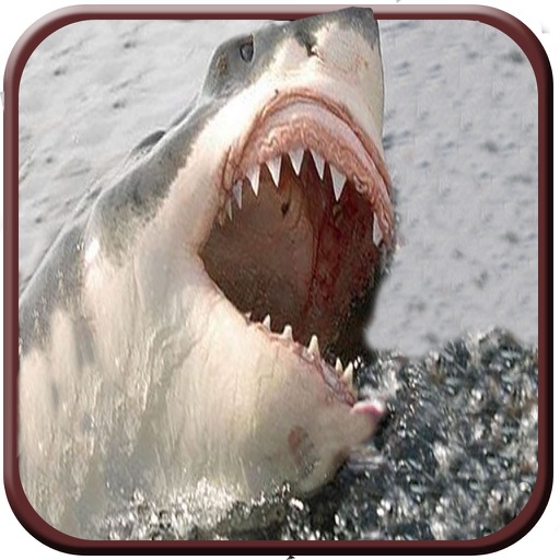 2016 Dead Shark Spear Hunt Pro : Underwater Hunting Tacties Sniper Attack icon