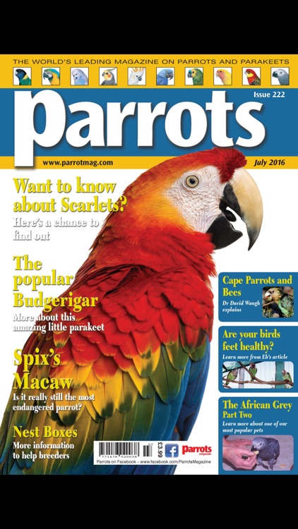 Parrots magazine