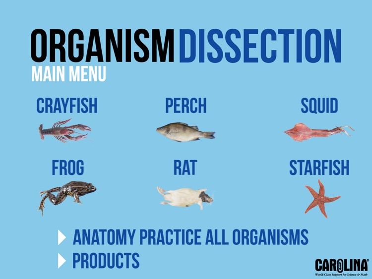 Organism Dissection Free