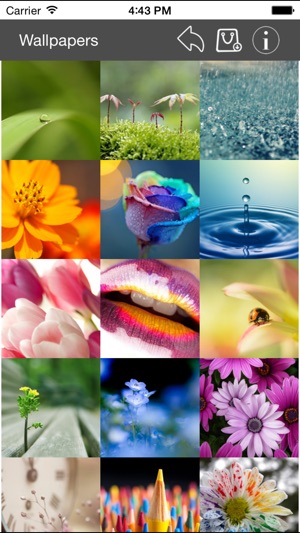 Wallpaper Collection Macro Edition(圖2)-速報App