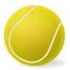 ATVP Virtual Tennis Ranking