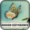 Hidden Difference - Summer Garden