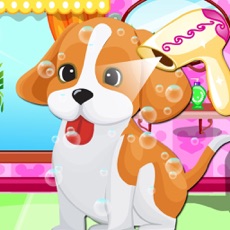 Activities of Princess Care Pets