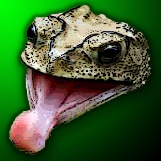 Munchie Frog iOS App