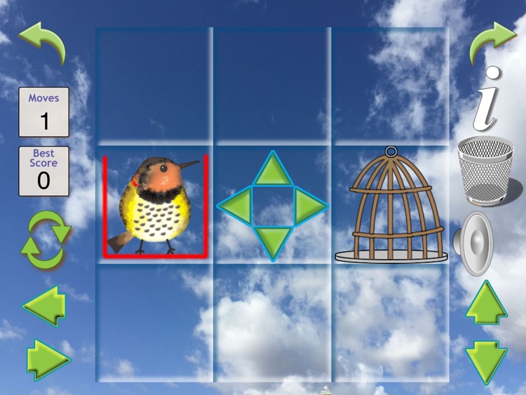 The Bird Puzzle