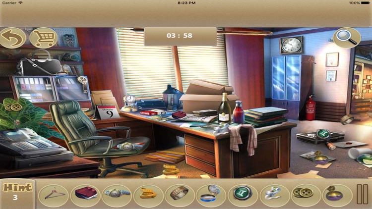 Cleaning House Hidden Object