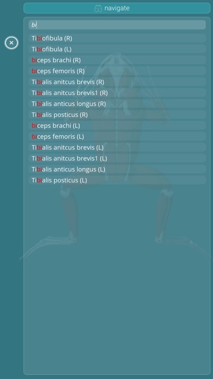 Visual Anatomy - Frog screenshot-3