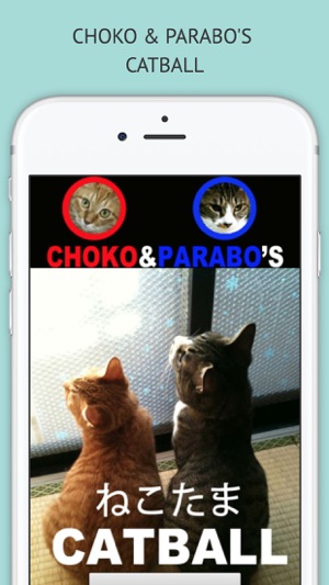 CHOKO&PARABO's CATBALL