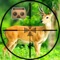We bring you the best hunting experience with VR Jungle deer hunting 2016