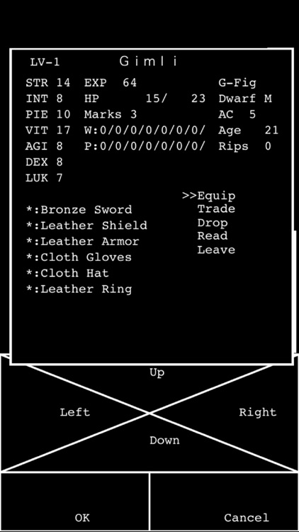 Wandrium #1 Arena of The Mad Overlord screenshot-3