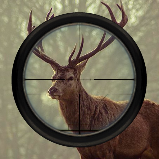 Animal Hunter 3D : Sniper Shooting Game Icon