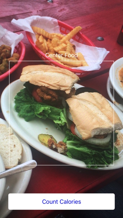 Food Calorie Counter - Automatically guess the calorie count in your food