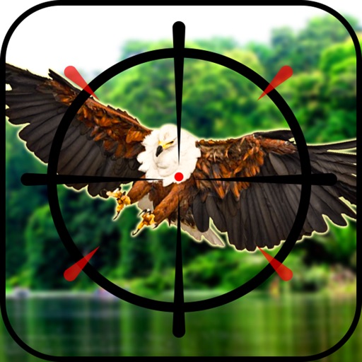 Birds Hunter in Jungle icon