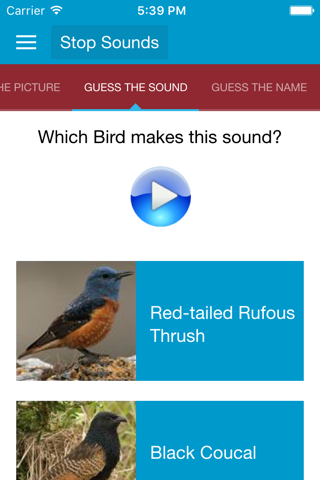 African Birds and Sounds screenshot 3