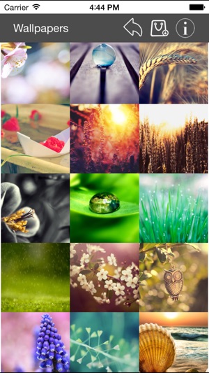 Wallpaper Collection Macro Edition(圖3)-速報App