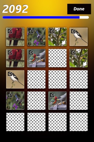 Birds Card Match screenshot 4