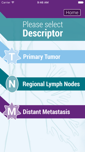 TNM Lung Staging(圖2)-速報App