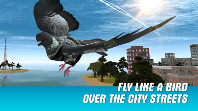 City Pigeon Simulator... screenshot1