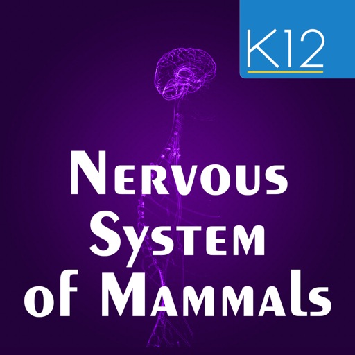 Nervous System icon