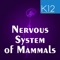 Mammals have the most complex nervous system on the planet, with human beings  being the most advanced