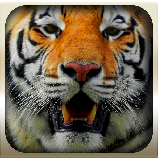Epic Animal Hunter 3D Simulation 2016 : Wild Jungle Icon