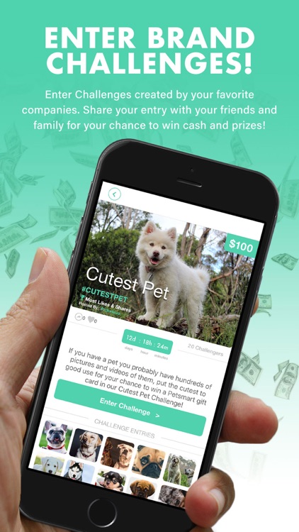 Pictorious by App Stallion, Inc.