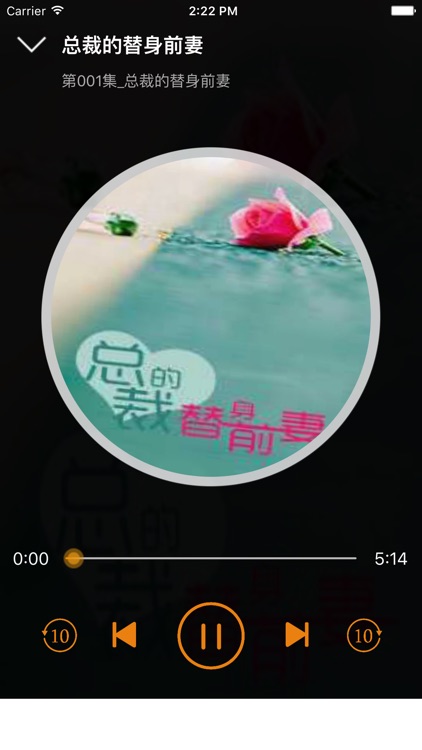 总裁的替身前妻有声小说—热门都市言情爱情系列精选 screenshot-3