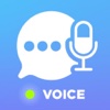 Voice Translator with Offline Dictionary - Scan translate Pro