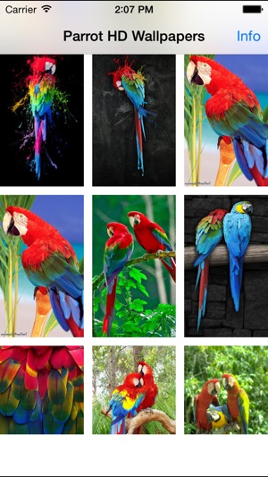 Parrot Wallpapers(圖2)-速報App