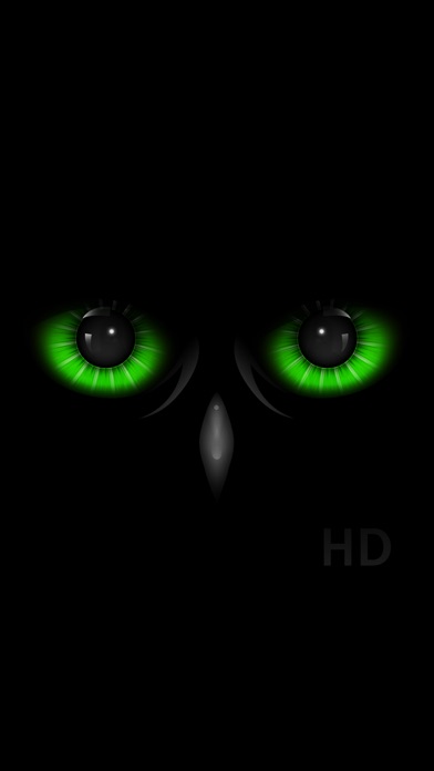 Night Eyes - 夜カメラ screenshot1