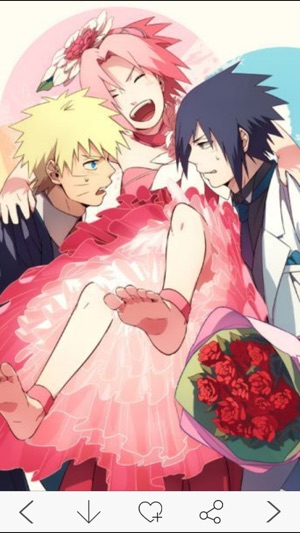 anime pocket anime gallery