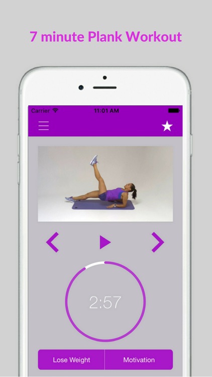 Plank Exercise Challenge and Flat Belly Workout screenshot-0