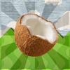 Crazy Coconut