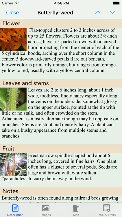 Minnesota Wildflowers Info. screenshot-3