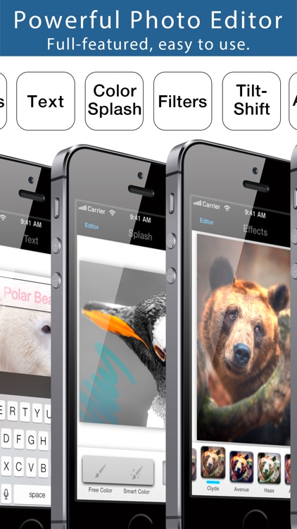 Squaready Pro screenshot-4