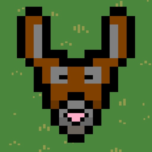 Boogie Donkey iOS App