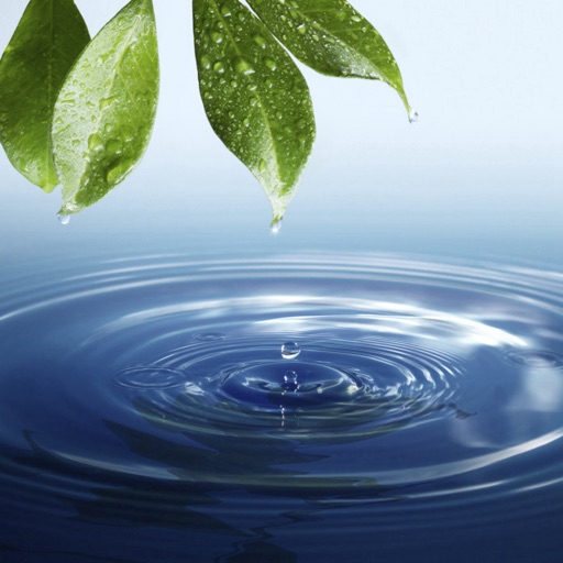 Water Resources and Environmental:Basics
