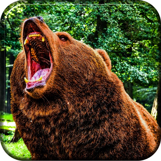 2016 Wild Bear Attack Simulator 3D icon