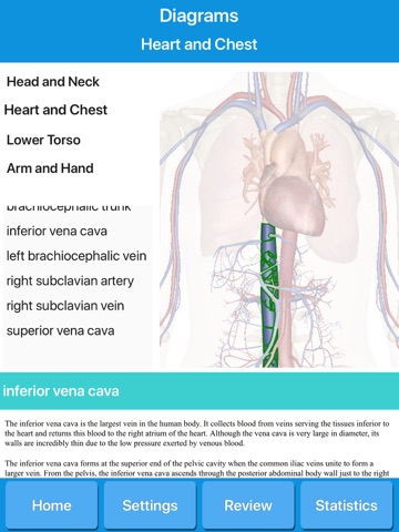 Circulatory System Anatomy screenshot 2