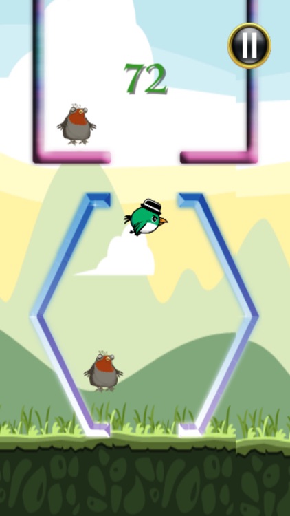 Birds Adventure Midair Game Free screenshot-3