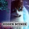 Hidden Scenes - Animal Friends