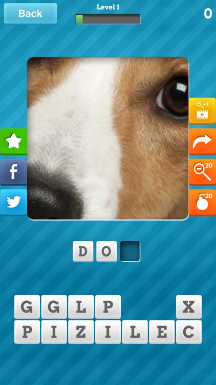 Close Up Animal Quiz - Cat & Dog Trivia Games Free