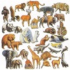 Animal Atlas