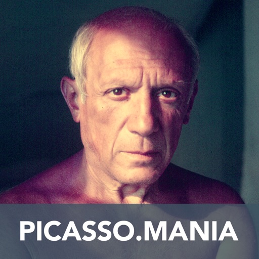 Picasso.mania, l’e-album de l’exposition du Grand Palais