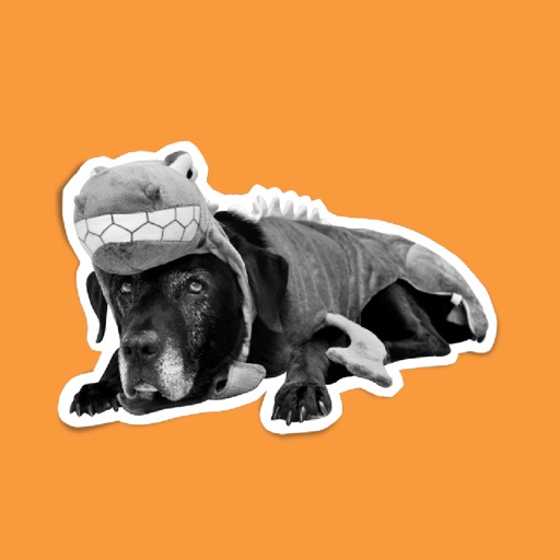 From Frank Halloween Stickers icon