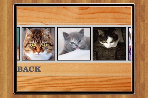 Cute Cats Jigsaw Puzzle Set screenshot 3