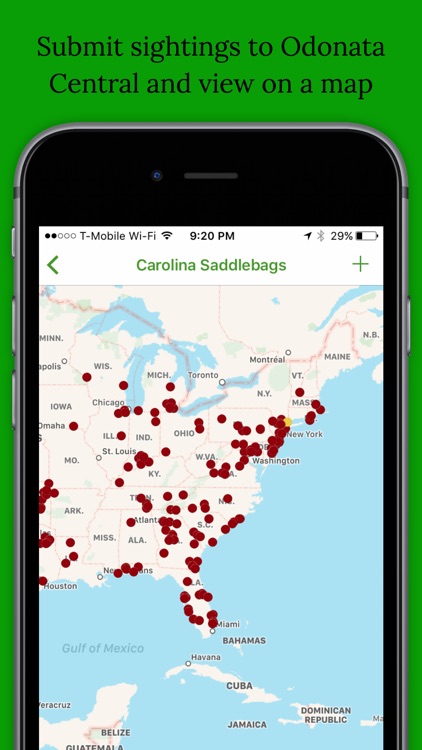 Dragonfly and Damselfly Field Guide and ID App screenshot-4
