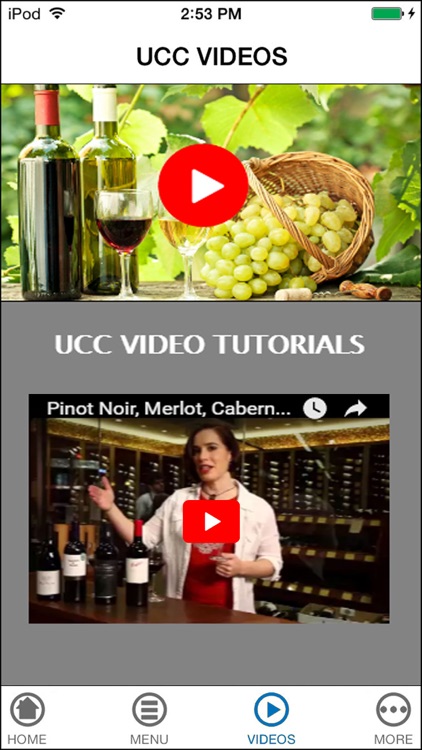 The Ultimate Guide To Pairing Wine with Cheese