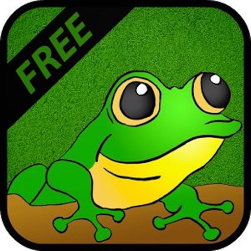 Fly Hungry Frog iOS App